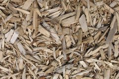 biomass boilers Rhives
